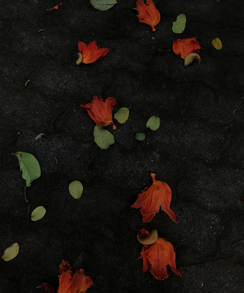 ビジネス温泉ホテルきぬ川